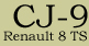 CJ 9 - Renault 8 TS